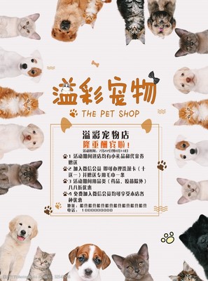 專業(yè)寵物服務(wù)，呵護愛寵健康與快樂