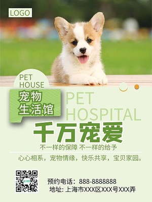 寵物服務(wù)中的問診體系 全面呵護寵物健康